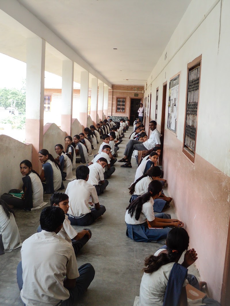 VIVEK VIDHYA MANDIR SR. SEC. SCHOOL, SANCHORE logo