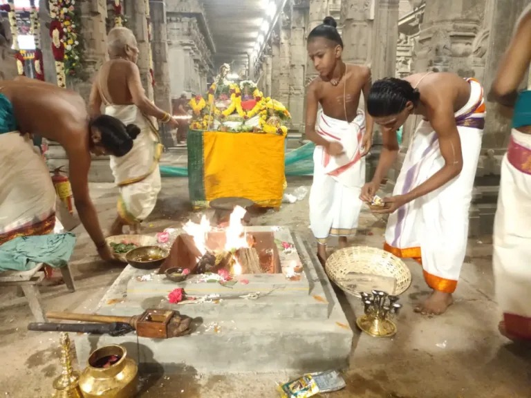 Sri Siva Nadi Astrology Online photo 2